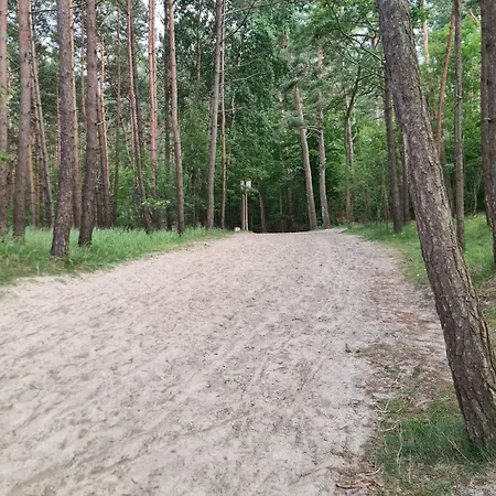 Utopka Domki Nad Morzem Sztutowo Exterior photo
