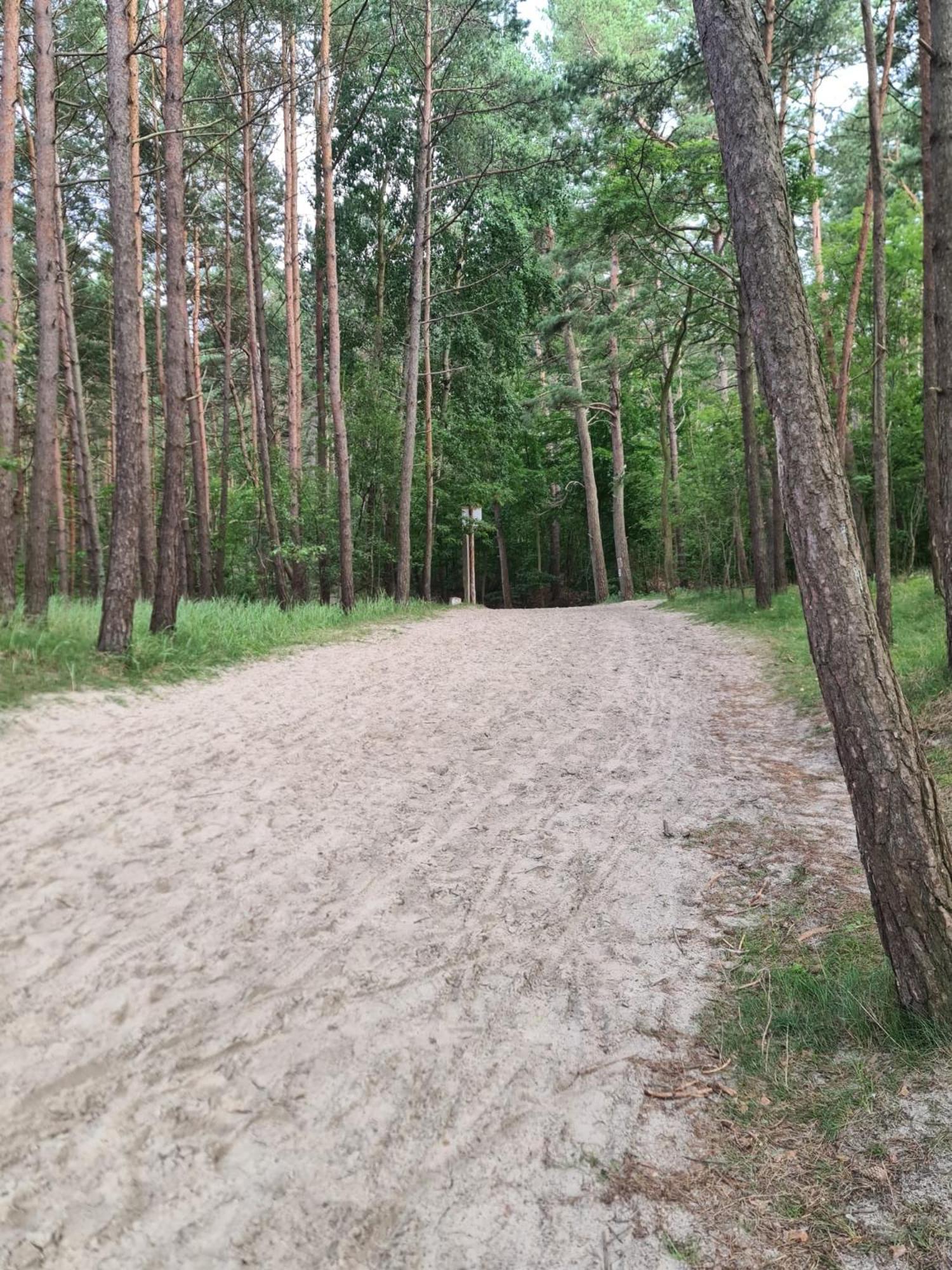 Utopka Nad Morzem * Sztutowo